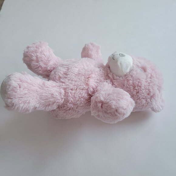 Pink Teddy Bear - new - Picture 5 of 10